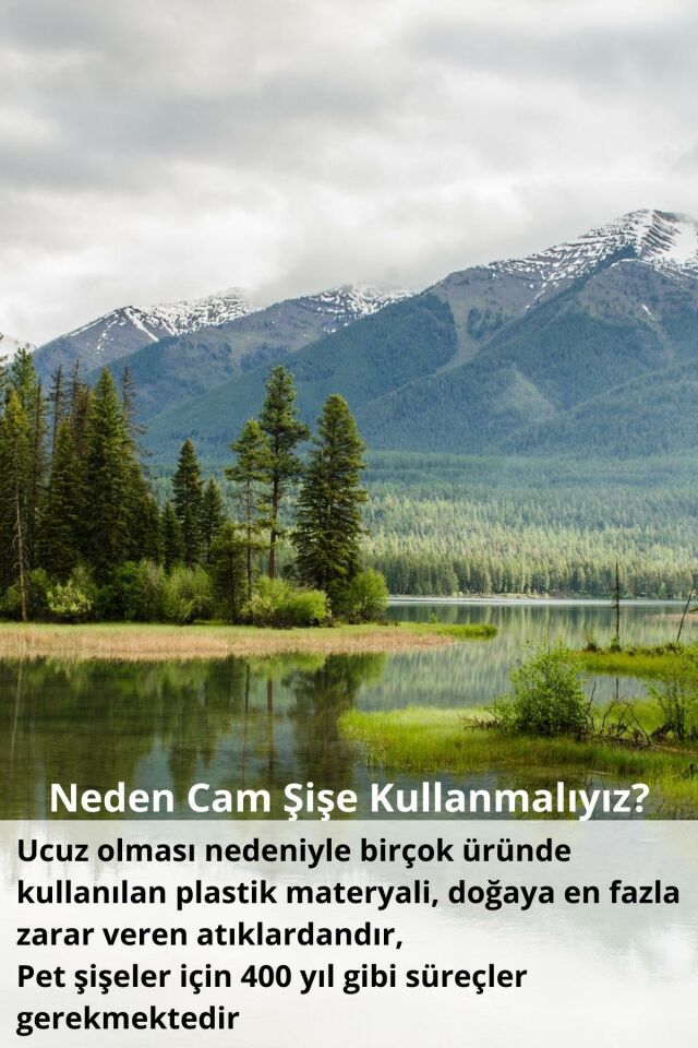 Nemlendirici Bahçe Gülü Kokulu Sıvı El Sabunu Cam Şişe Dekor - Vegan İçerik - 250ML