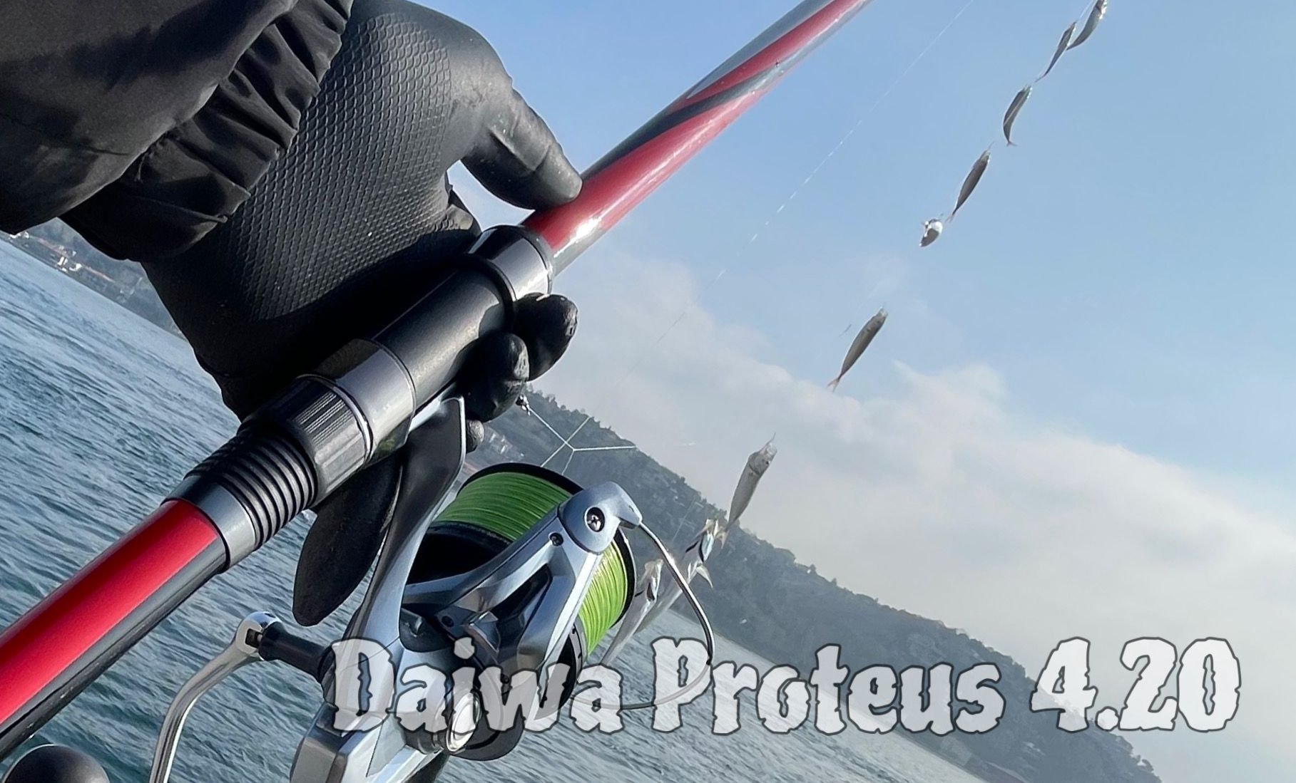 Daiwa Proteus