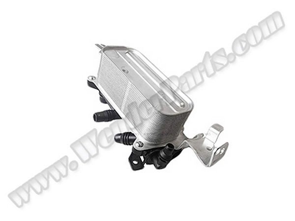 Şanzıman Yağ Radyatörü F01 [N52] Komple