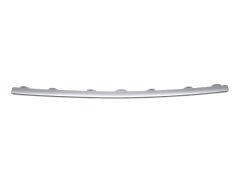 Tampon Nikelajı G11-LCI Ön Orta -Basic- 2019-