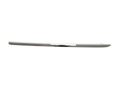 Marşpiye Çitası W205 Arka Sol; Krom -Avg Long-