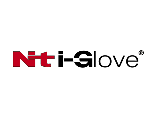 NT-iGlove