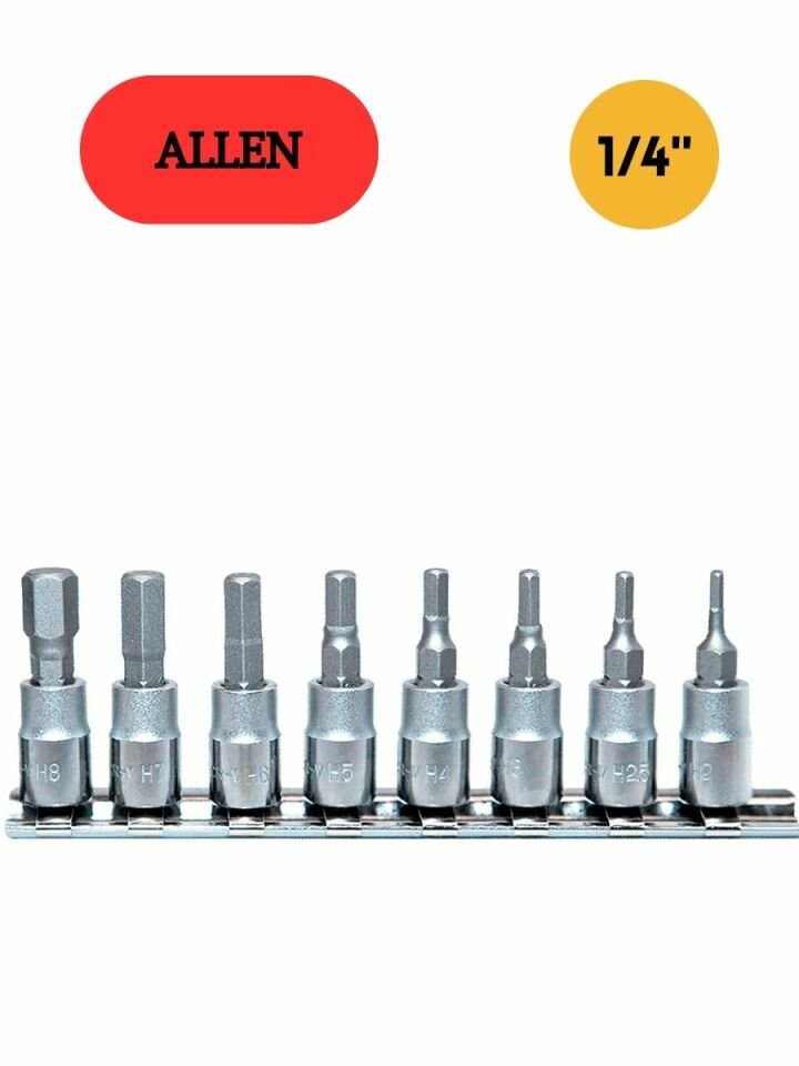 1/4'' Allen Lokma Seti NCSET14AL