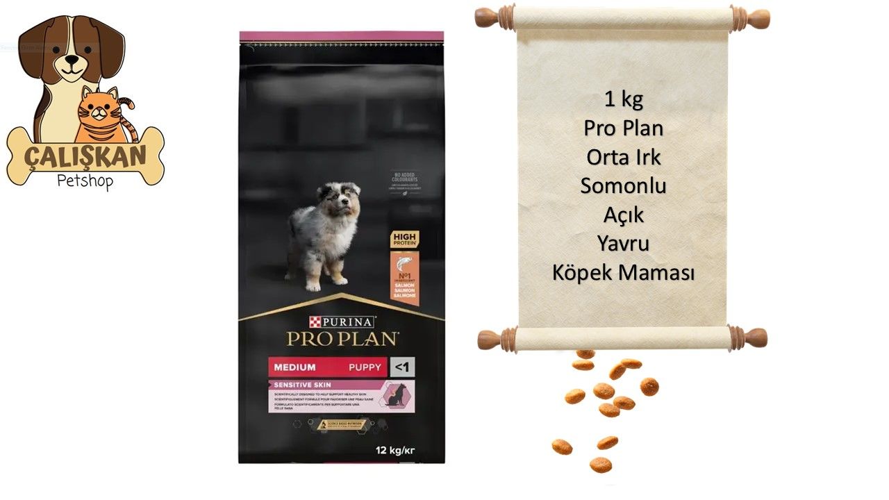 Purina Pro Plan Somonlu Orta Irk Açık Yavru Köpek Maması 1 Kg