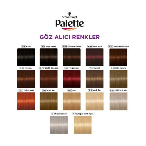 Palette Göz Alıcı Renkler 5-68 Kestane Saç Boyası