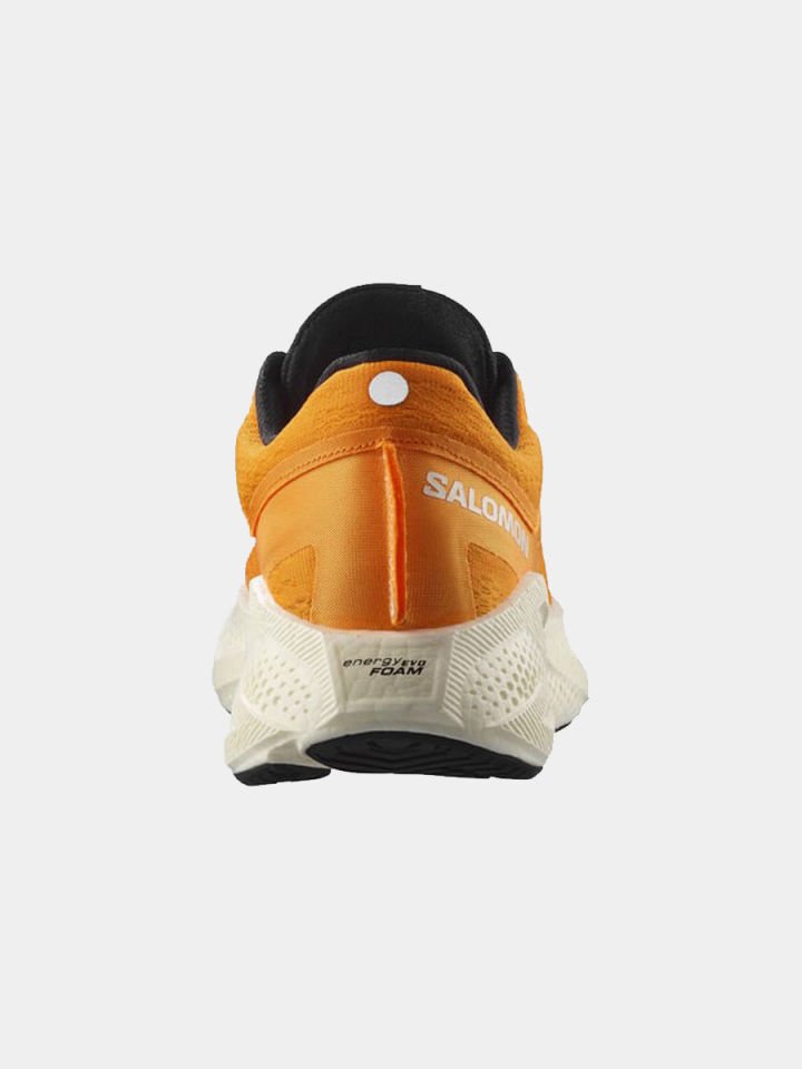 Salomon Aero Glide 3 Erkek Koşu Ayakkabısı