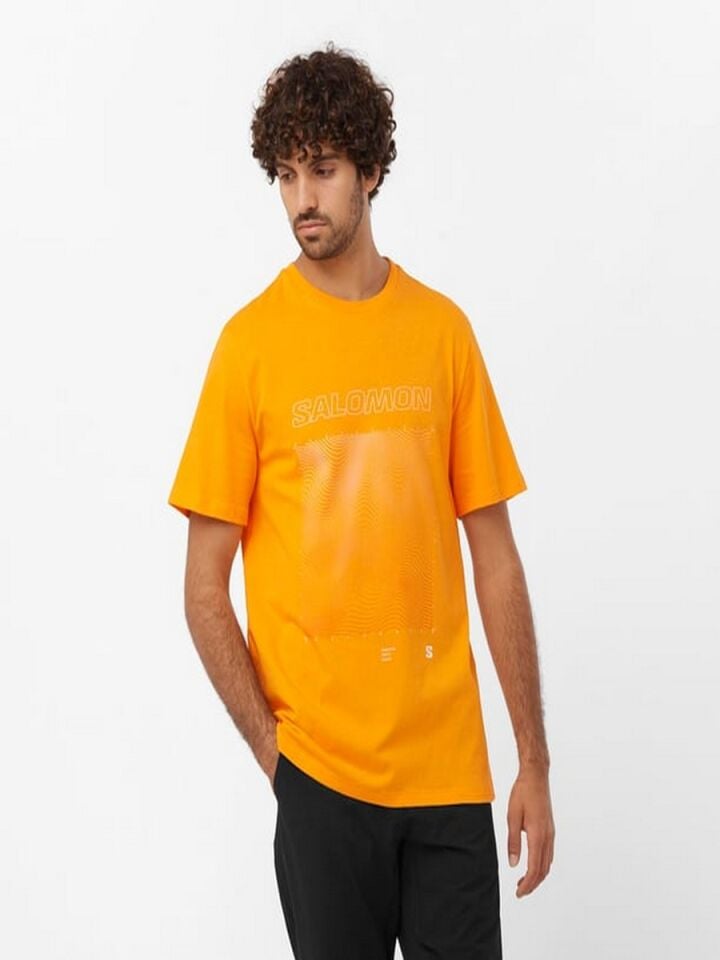 SALOMON Graphic SS Tee Erkek Kısa Kollu T-Shirt