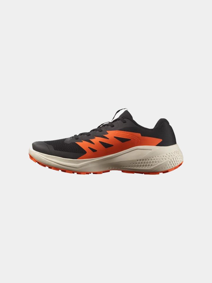 Salomon Alphaglide Erkek Patika Koşu Ayakkabısı
