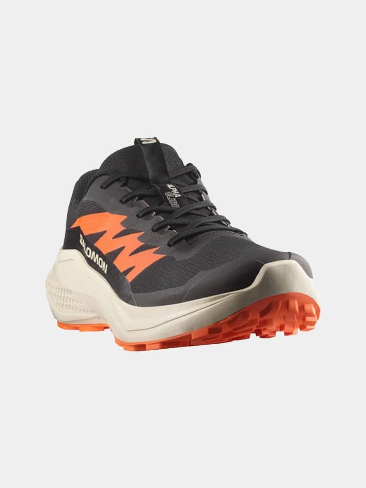 Salomon Alphaglide Erkek Patika Koşu Ayakkabısı