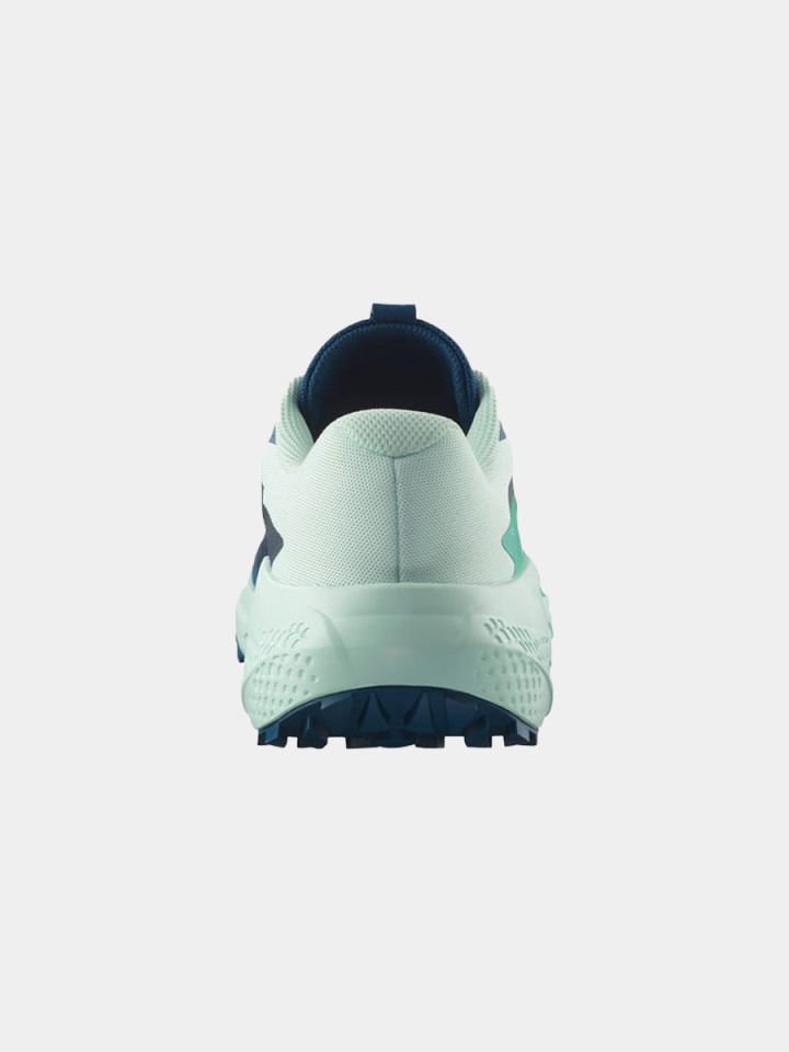 Salomon Alphaglide Erkek Patika Koşu Ayakkabısı
