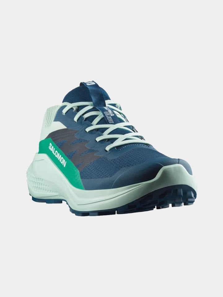 Salomon Alphaglide Erkek Patika Koşu Ayakkabısı
