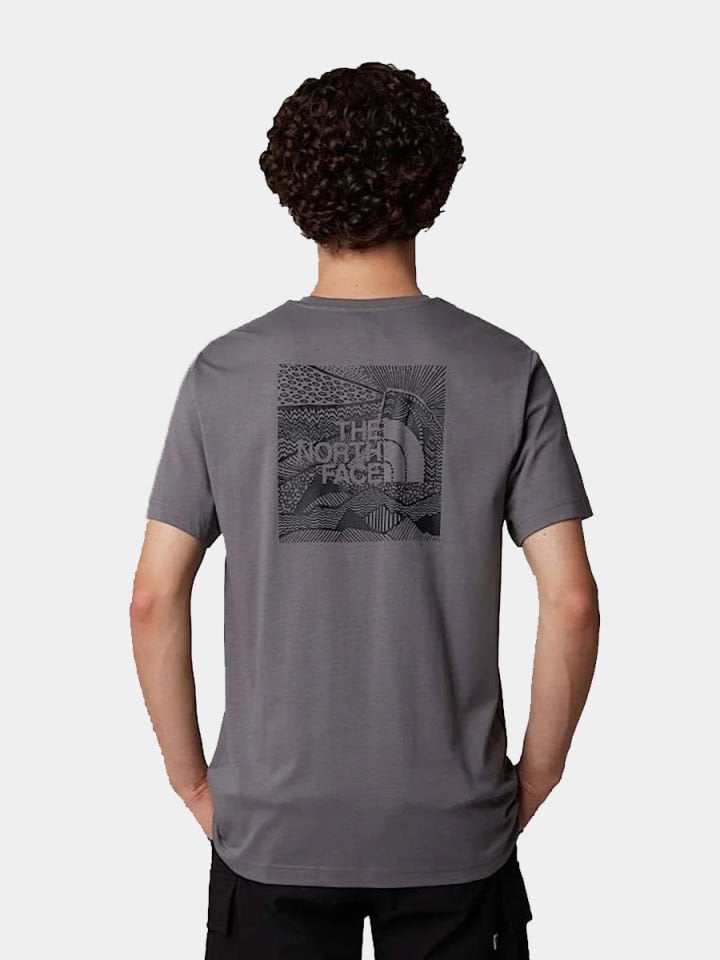 The North Face M Ss Box Nse Celebraion Tee Erkek T-Shirt