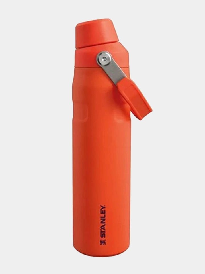 Stanley The Aerolight IceFlow Water Bottle Fast Flow 0.6L / 20oz Tigerlily
