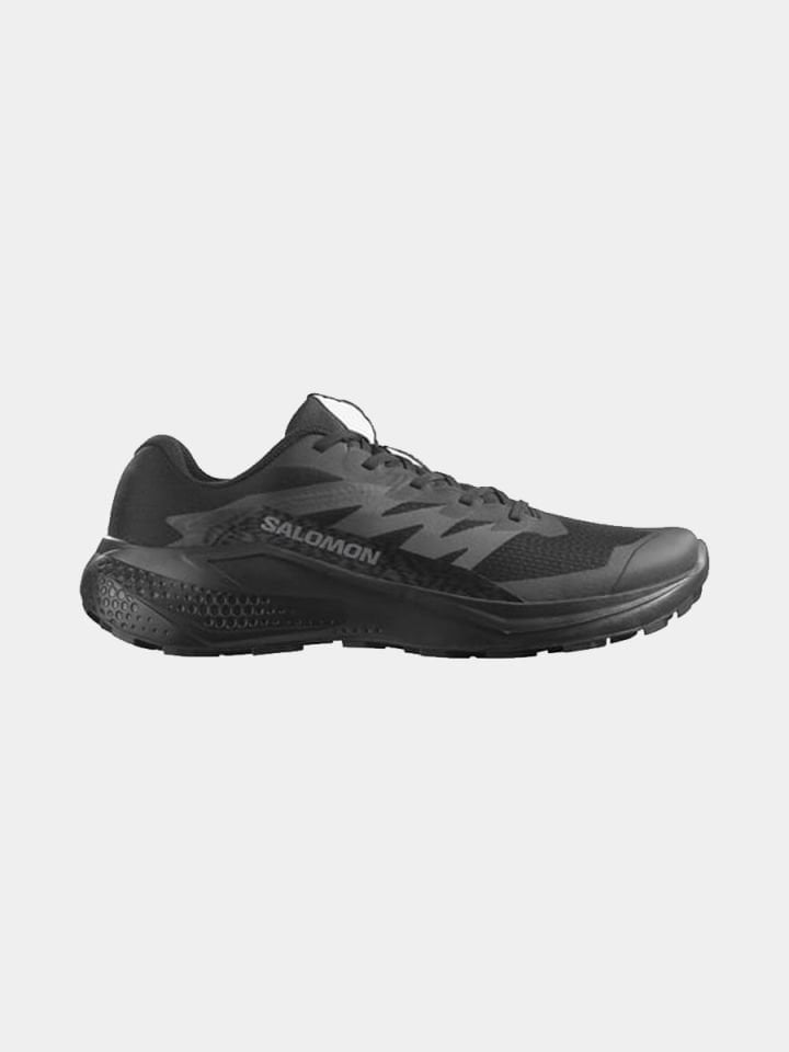 SALOMON Alphaglide Erkek Koşu Ayakkabısı