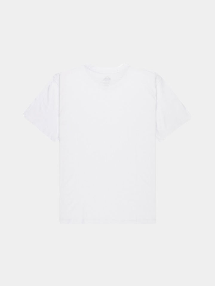 Quicksilver Basic SS Tee Young Erkek T-Shirt