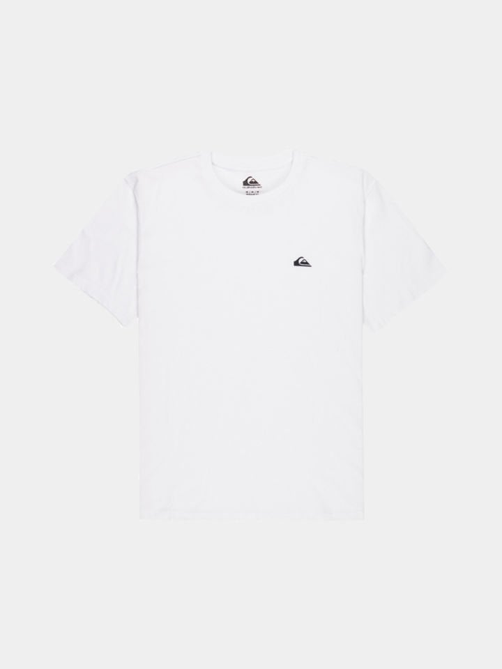 Quicksilver Basic SS Tee Young Erkek T-Shirt