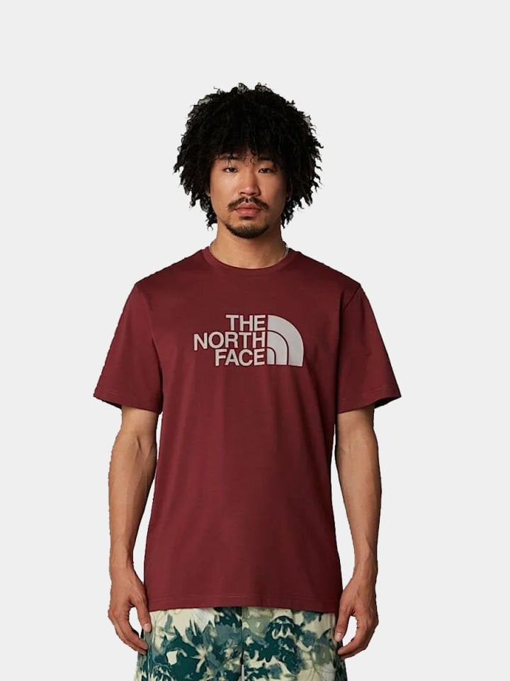 The North Face M Ss Easy Tee Erkek T-Shirt