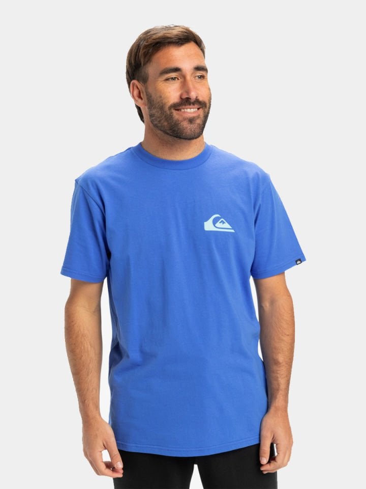 QUIKSILVER Ev Mini Logo SS Erkek T-Shirt