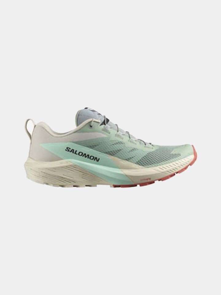 SALOMON Sense Ride 5 Erkek Outdoor Koşu Ayakkabısı