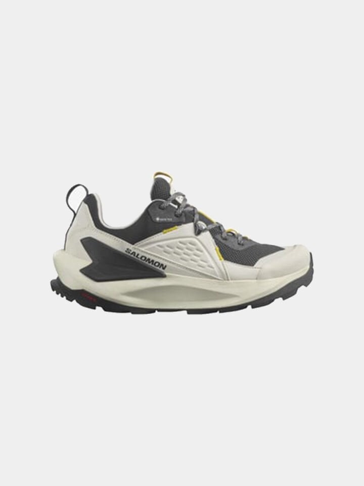 SALOMON Elixir Gore-Tex Erkek Outdoor Ayakkabı