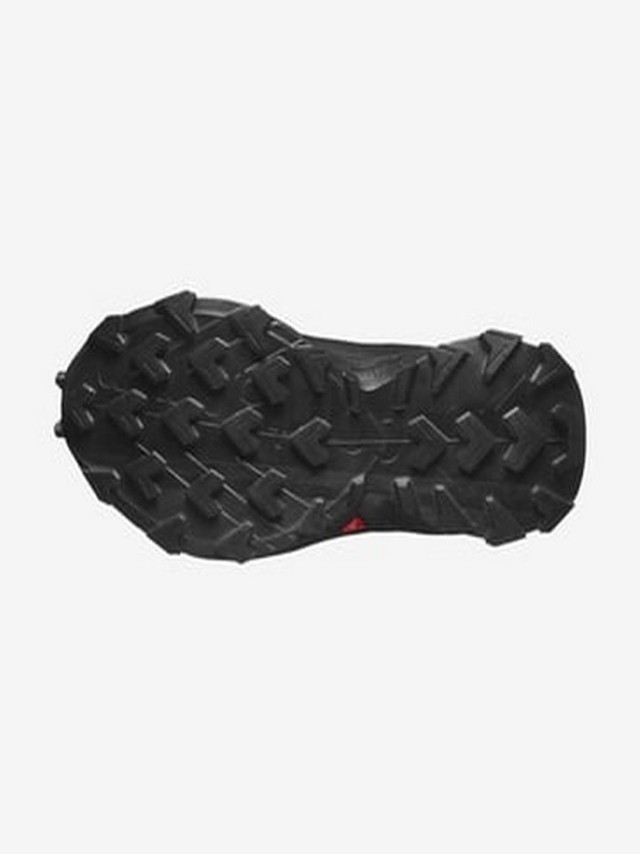 SALOMON ERKEK PATİKA KOŞUSU AYAKKABISI ALPHACROSS 5 GTX Black-Black-Ebony - 9