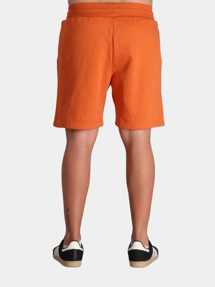 The North Face Box Nse Regular Erkek Şort