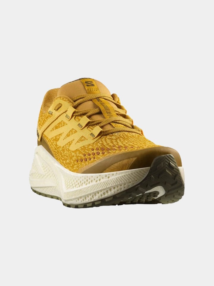 Salomon Aero Glide 3 Grvl Erkek Koşu Ayakkabısı