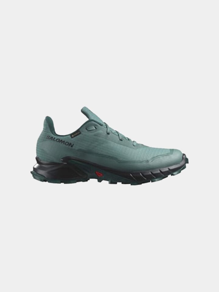 SALOMON Alphacross 5 Gore-Tex Erkek Outdoor Koşu Ayakkabısı