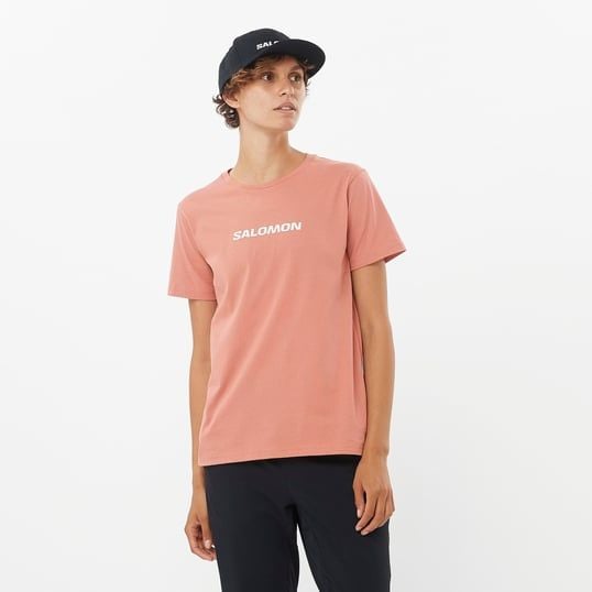 SALOMON Logo SS Tee Kadın Kısa Kollu T-Shirt LIGHT MAHOGANY - XS