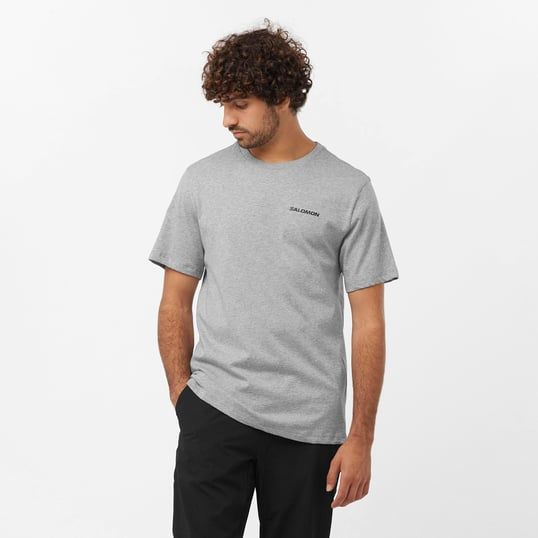 SALOMON Graphic Performance SS Tee Erkek Kısa Kollu T-Shirt