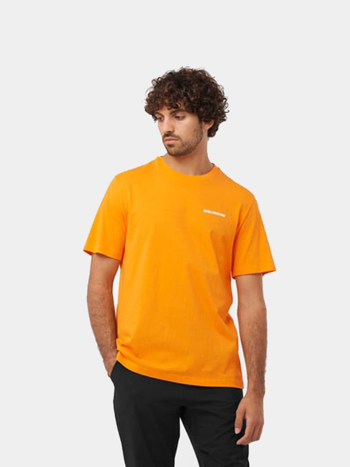 SALOMON Graphic Performance SS Tee Erkek Kısa Kollu T-Shirt