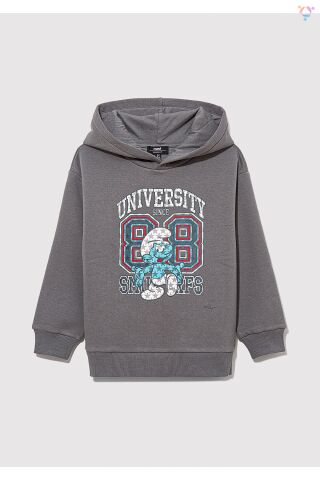 MAVİ ÇOCUK ŞİRİNLER BASKILI KAPÜŞONLU SWEATSHIRT Me 6S10085-80017