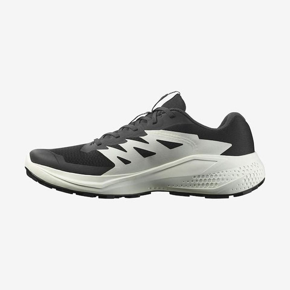 SALOMON ERKEK KOŞU/FITNESS AYAKKABI ALPHAGLIDE L47801000