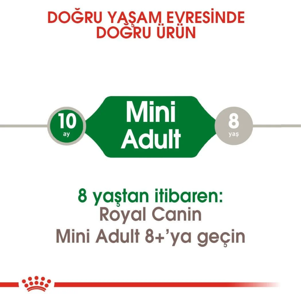 Royal Canin Mini Adult Küçük Irk Yetişkin Köpek Maması 2 Kg