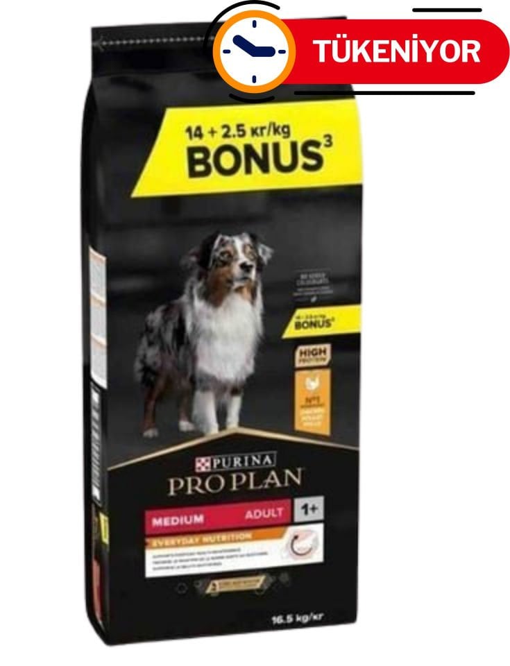 Proplan Medium Adult Tavuklu Yetişkin Köpek Maması 16,5 Kg