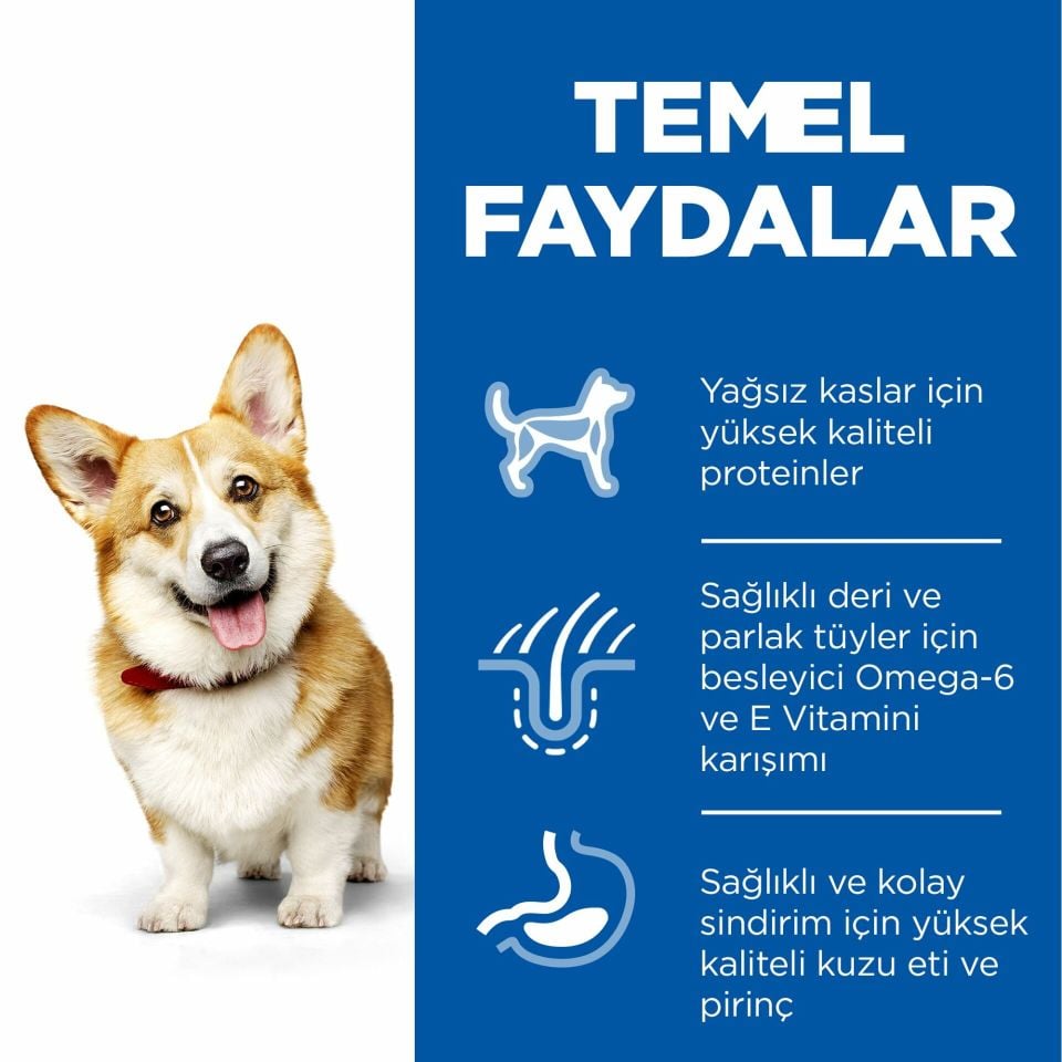 Hill's Science Plan Kuzulu Küçük Irk Yetişkin Köpek Maması 5+1 Kg