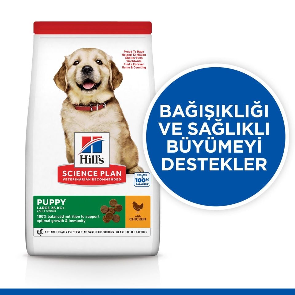 Hill's Science Plan Tavuklu Büyük Irk Yavru Köpek Maması 2,5 Kg