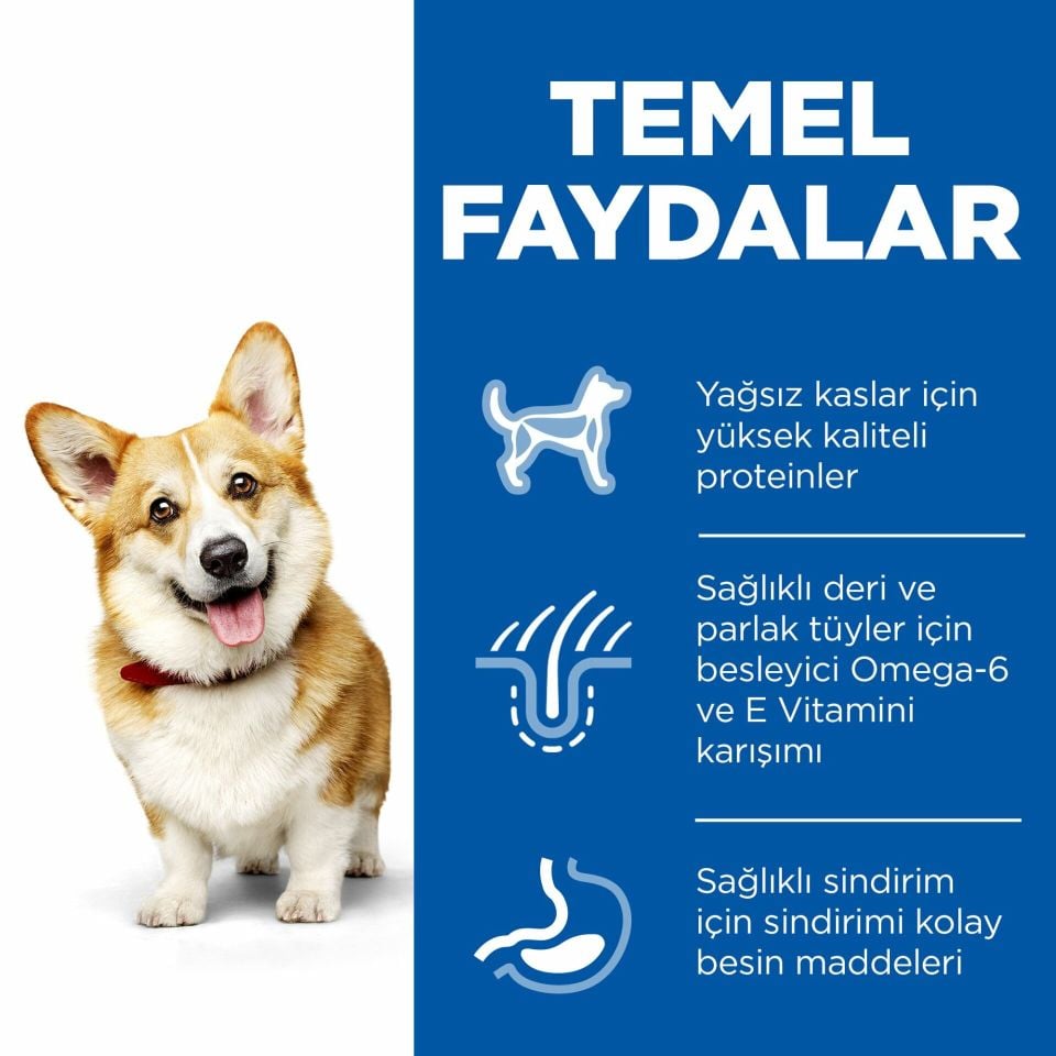 Hill's Science Plan Small & Miniature Küçük Irk Tavuklu Köpek Maması 1,5 Kg