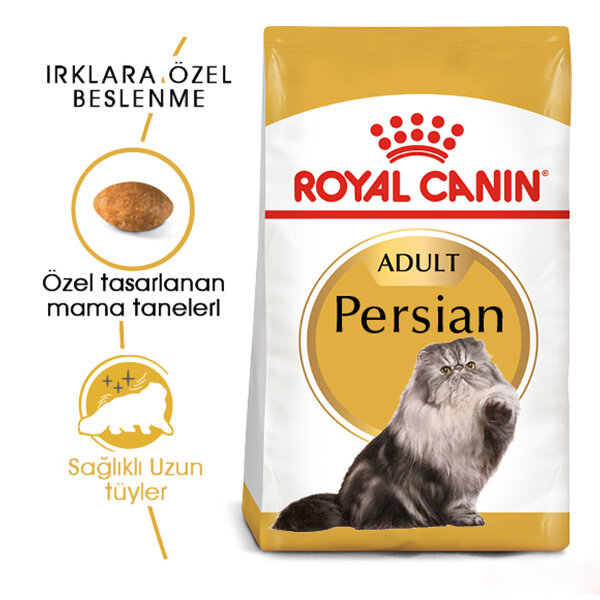 Royal Canin İran Kedisi Yetişkin Kedi Maması 4 Kg