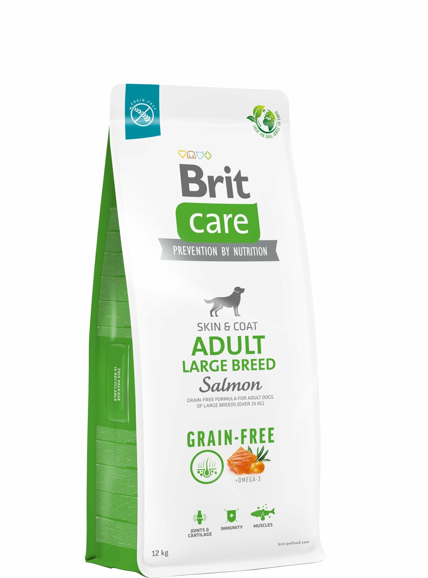 Brit Care Skin & Coat Somonlu Tahılsız Büyük Irk Yetişkin Köpek Maması 12 Kg