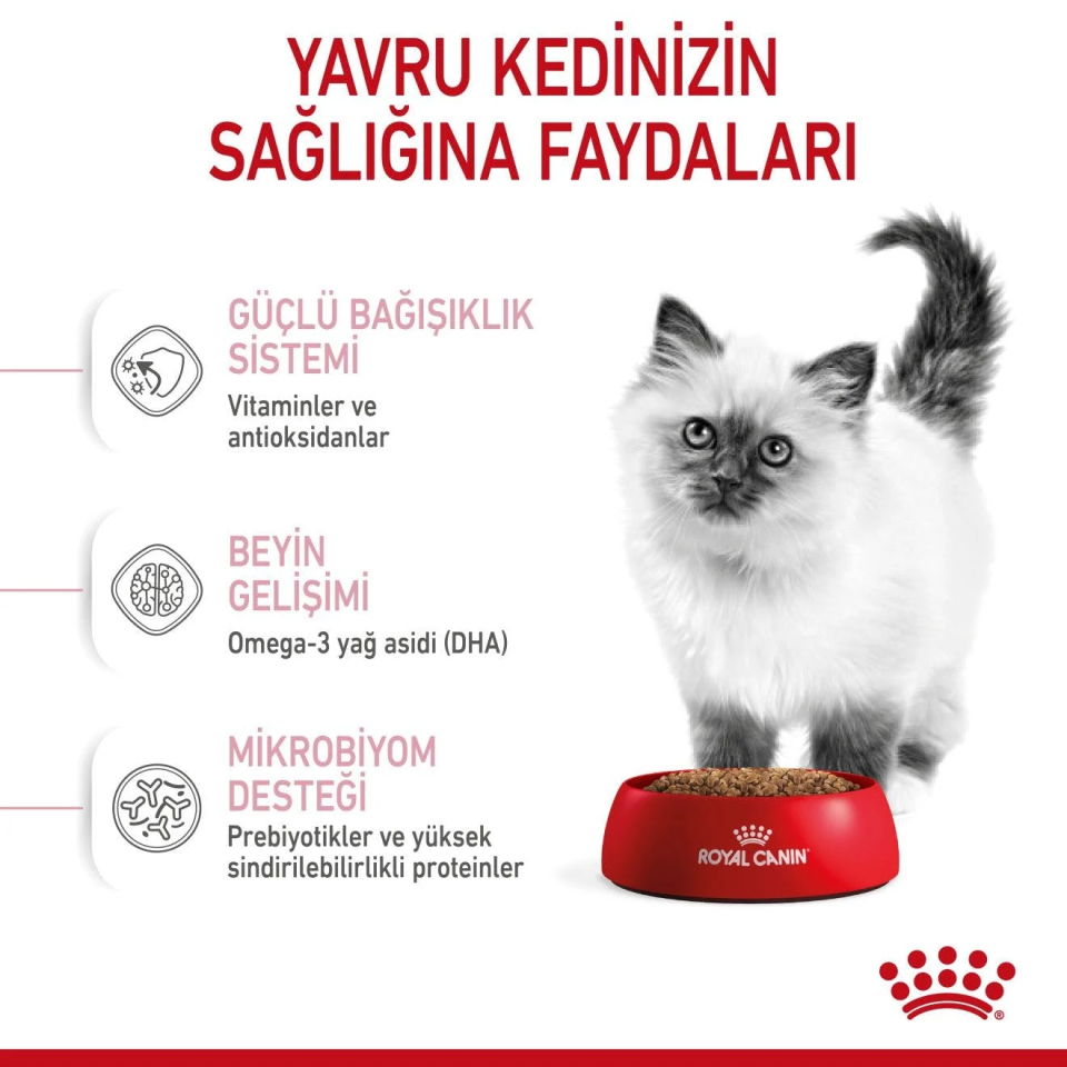 Royal Canin Kitten Yavru Kedi Maması 10 Kg