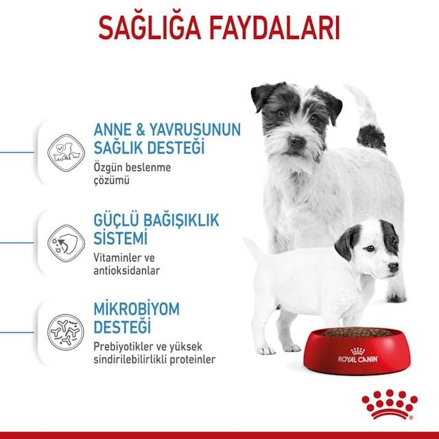 Royal Canin Mini Starter Mother & Babydog Küçük Irk Yavru Köpek Maması 4 Kg