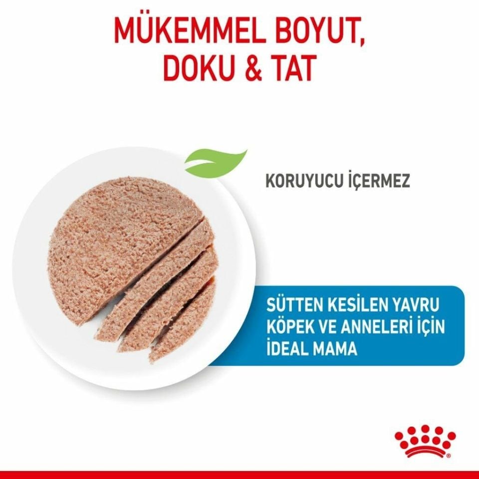 Royal Canin Starter Mother & Babydog Köpek Konservesi 195 Gr