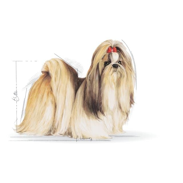 Royal Canin Shih Tzu Yetişkin Köpek Maması 1,5 Kg