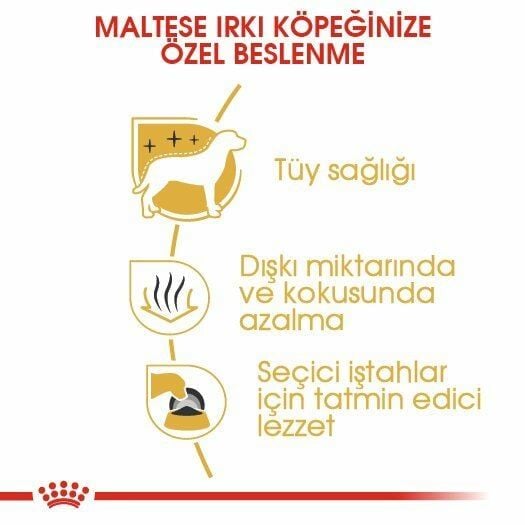 Royal Canin Maltese Terrier Yetişkin Köpek Maması 1,5 Kg