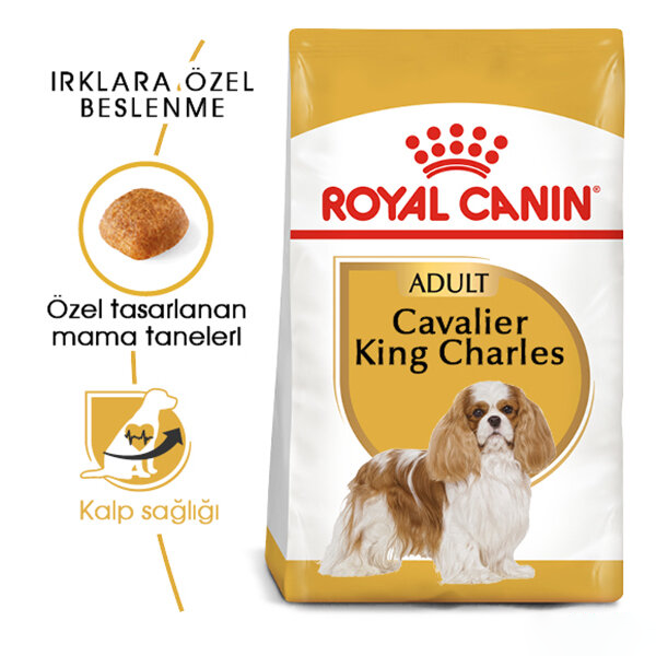 Royal Canin Cavalier King Charles Yetişkin Köpek Maması 3 Kg