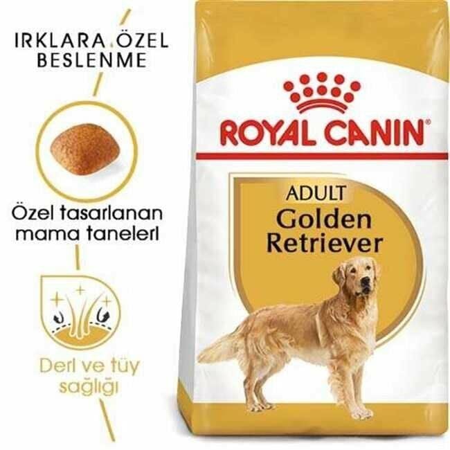 Royal Canin Golden Retriever Yetişkin Köpek Maması 12 Kg