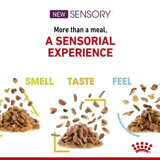 Royal Canin Gravy Sensory Smell Yetişkin Konserve Kedi Maması 12X85 Gr