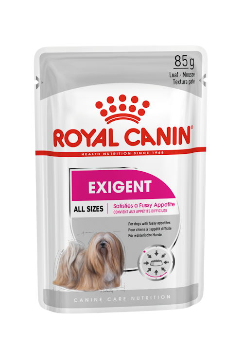 Royal Canin Ccn Exigent Loaf  Seçici Yetişkin Köpek Yaş Maması 12x85 Gr