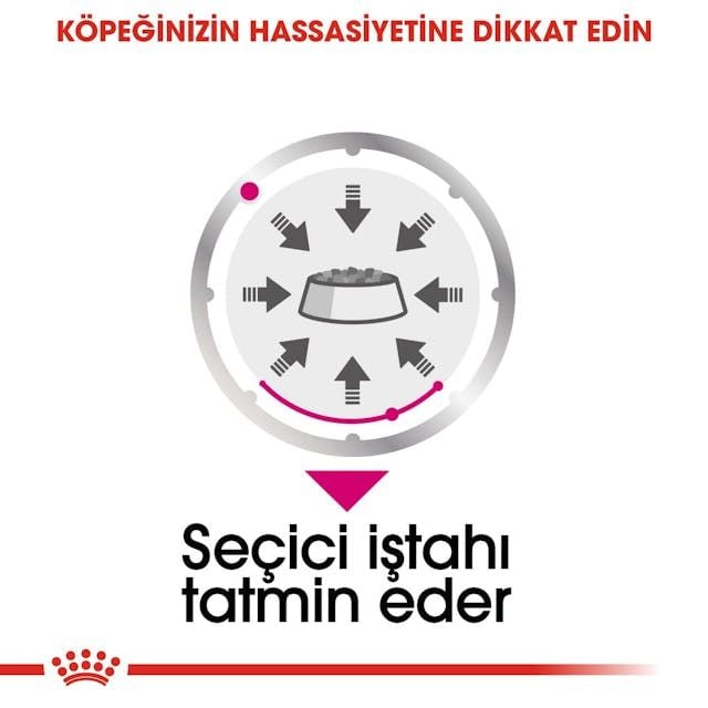 Royal Canin Ccn Exigent Loaf  Seçici Yetişkin Köpek Yaş Maması 12x85 Gr